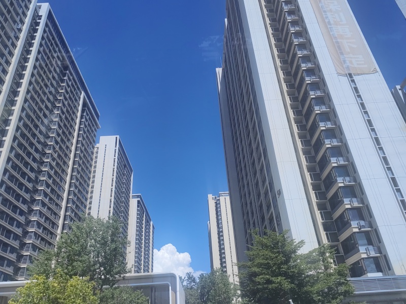 实景图