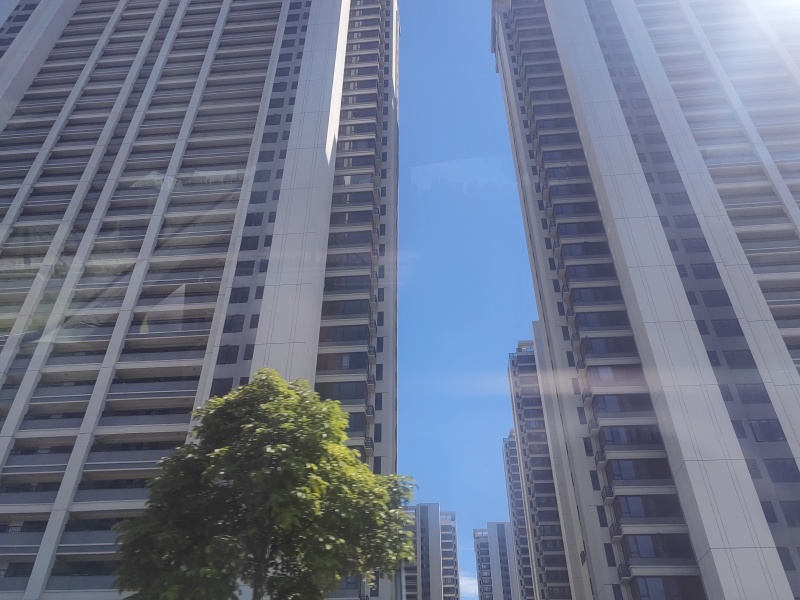 实景图
