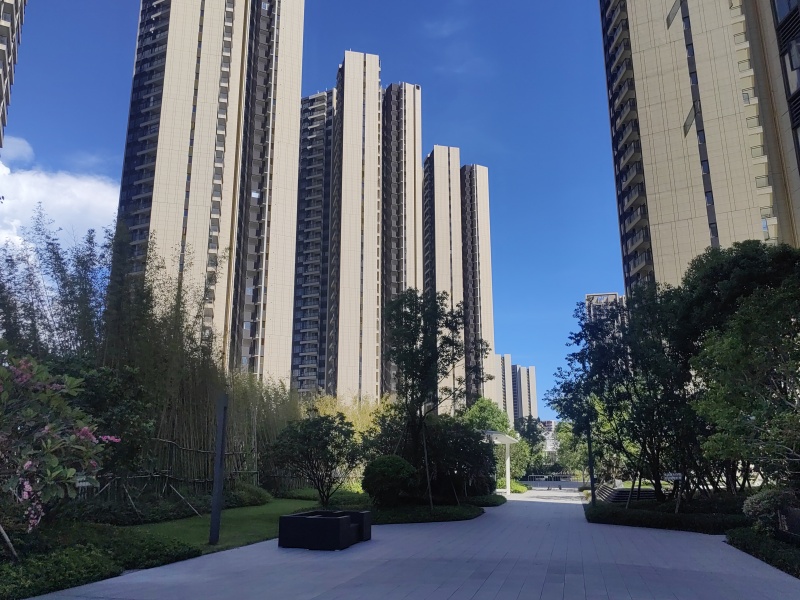 实景图