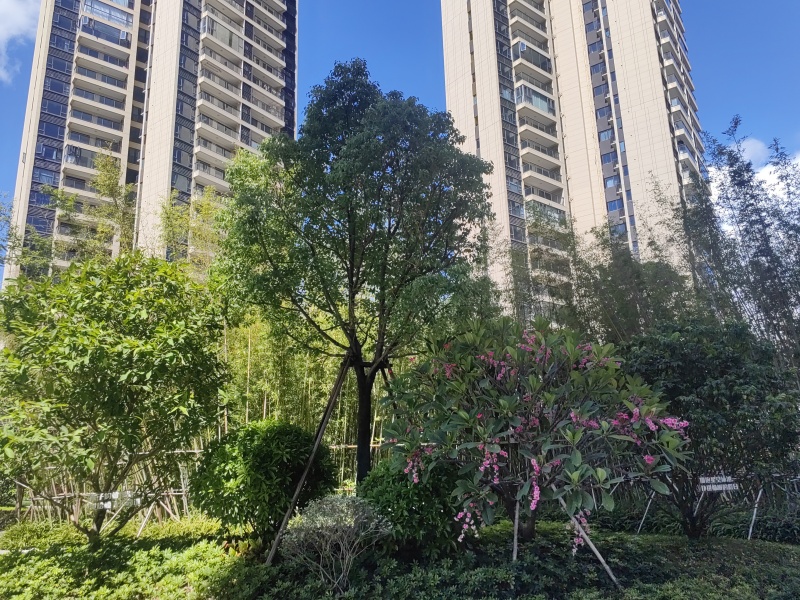实景图