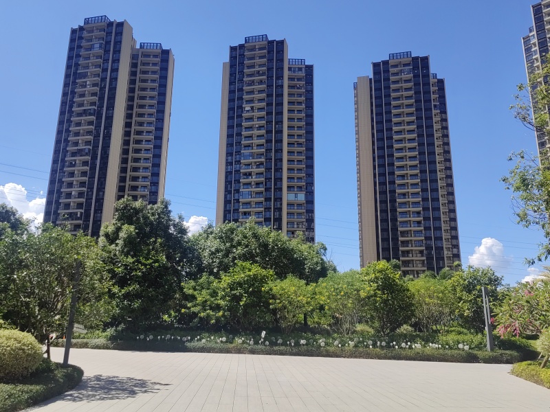 实景图