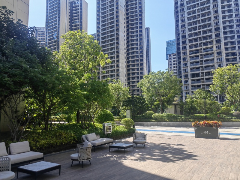 实景图