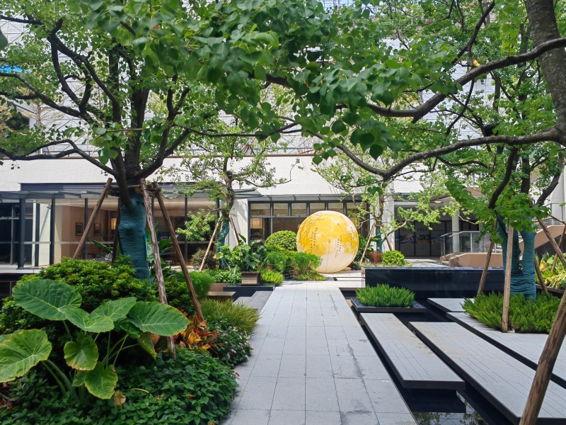 实景图