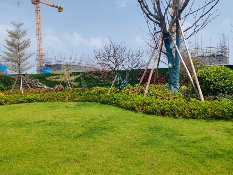 实景图