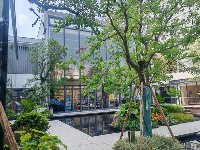实景图